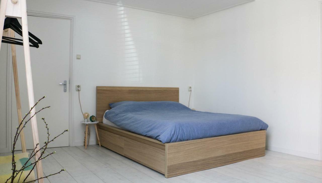 Logement Nij Bonga ホルウェルト エクステリア 写真